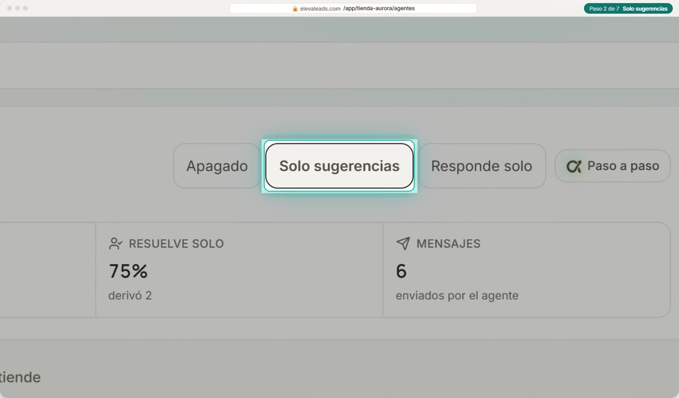Solo sugerencias