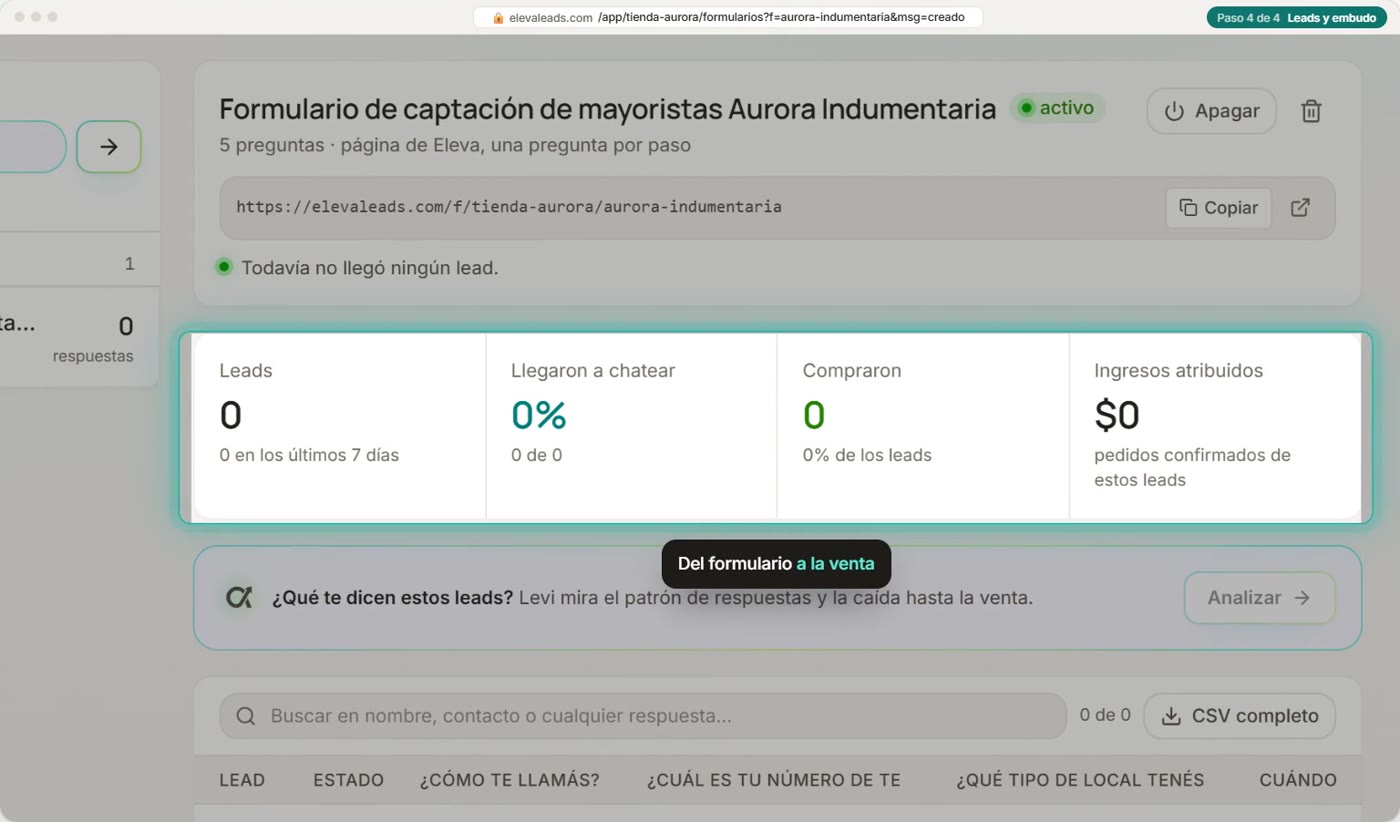 Leads y embudo